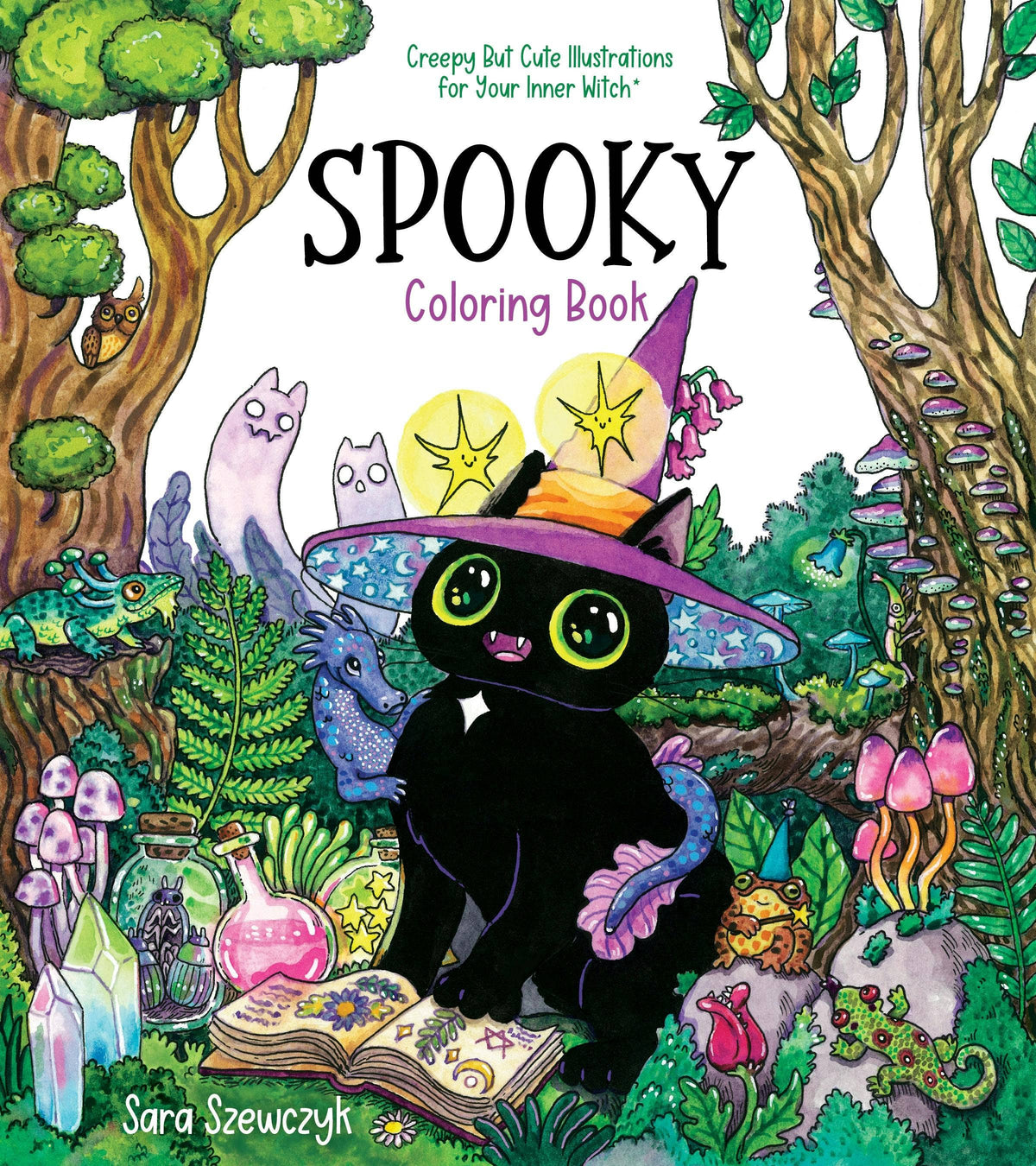 Spooky Witch Cat Coloring Book