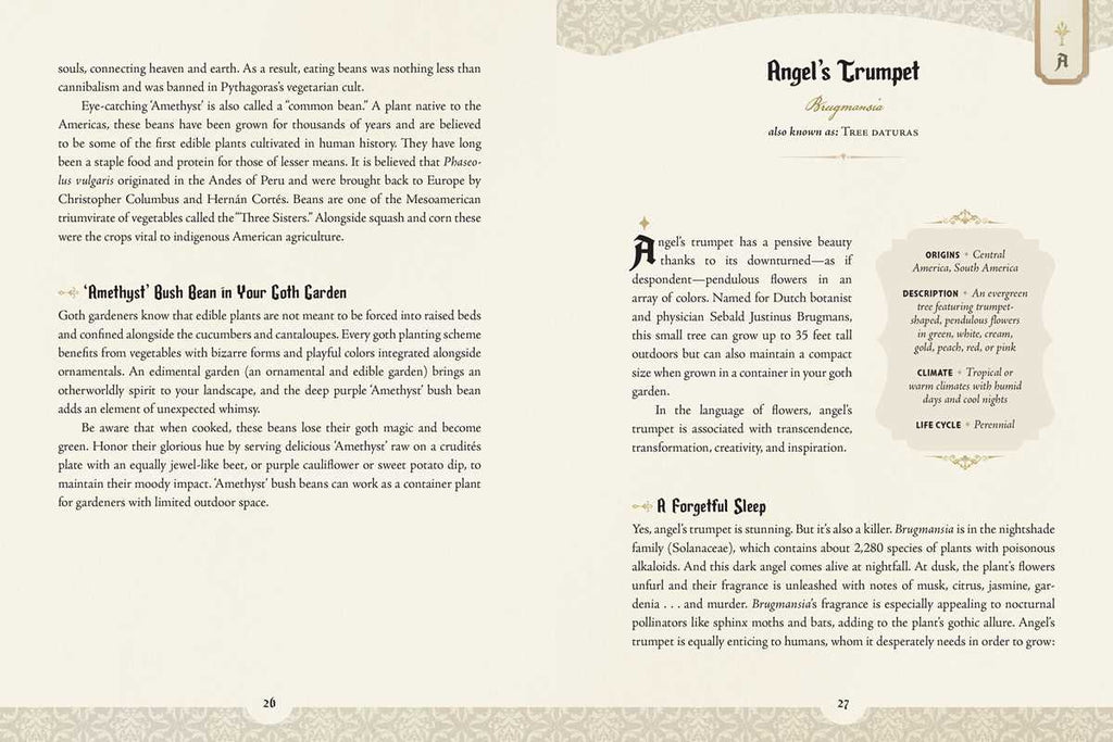 Book page with text on 'Angel's Trumpet' plant, featuring decorative elements.