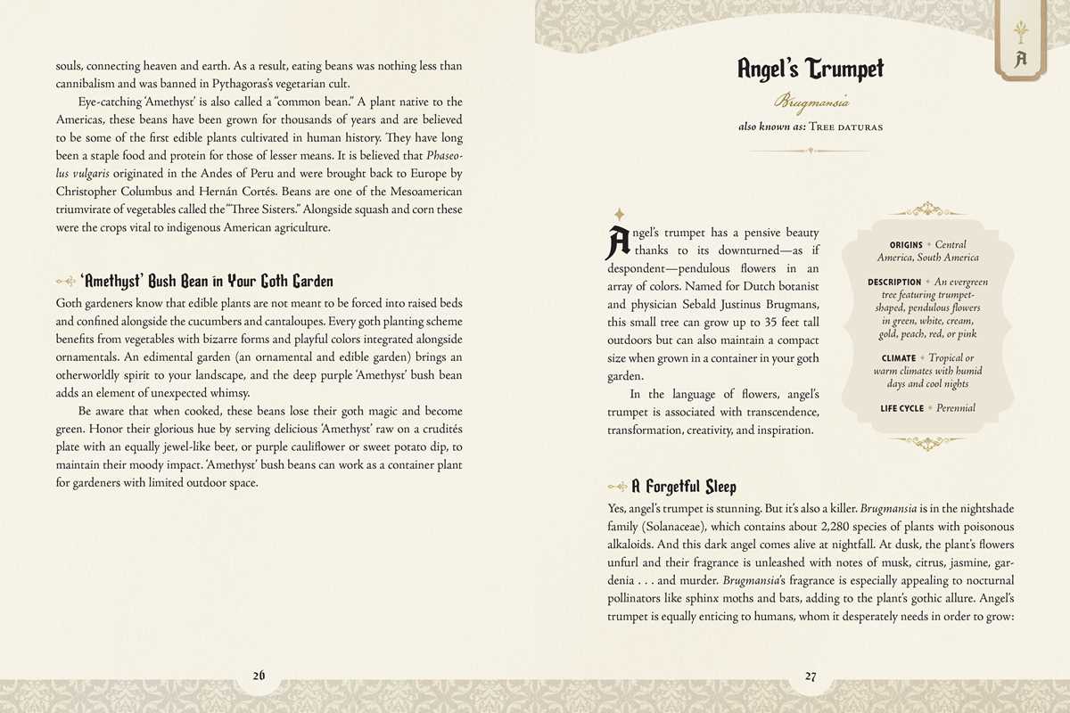 Book page with text on 'Angel's Trumpet' plant, featuring decorative elements.
