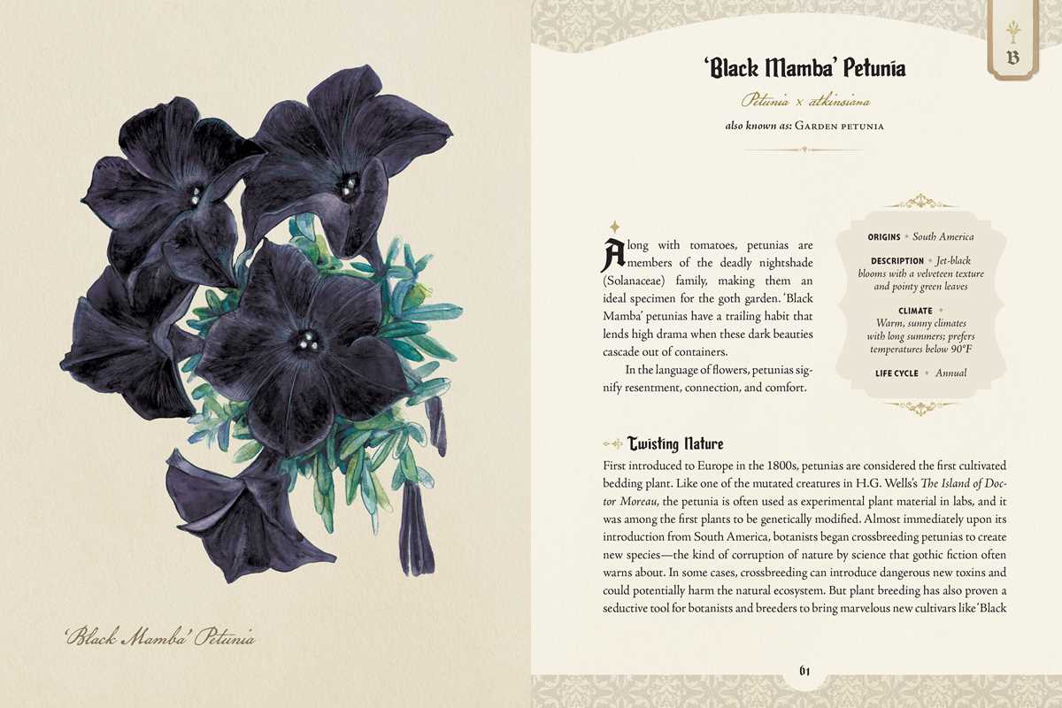 Illustration of black flowers with text on a beige background