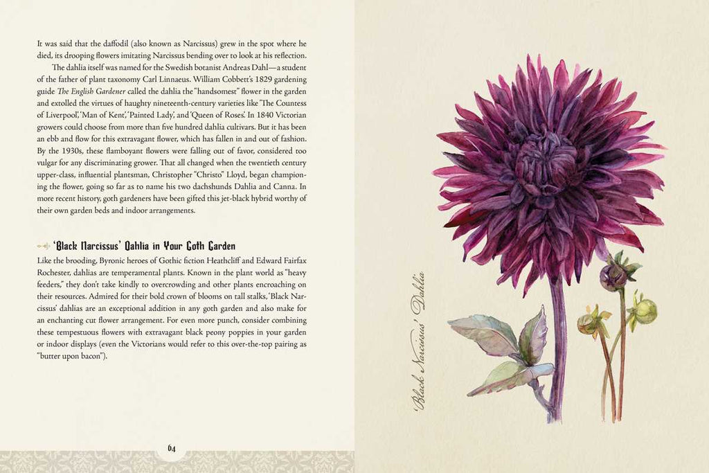 Illustration of a purple flower with text on a beige background