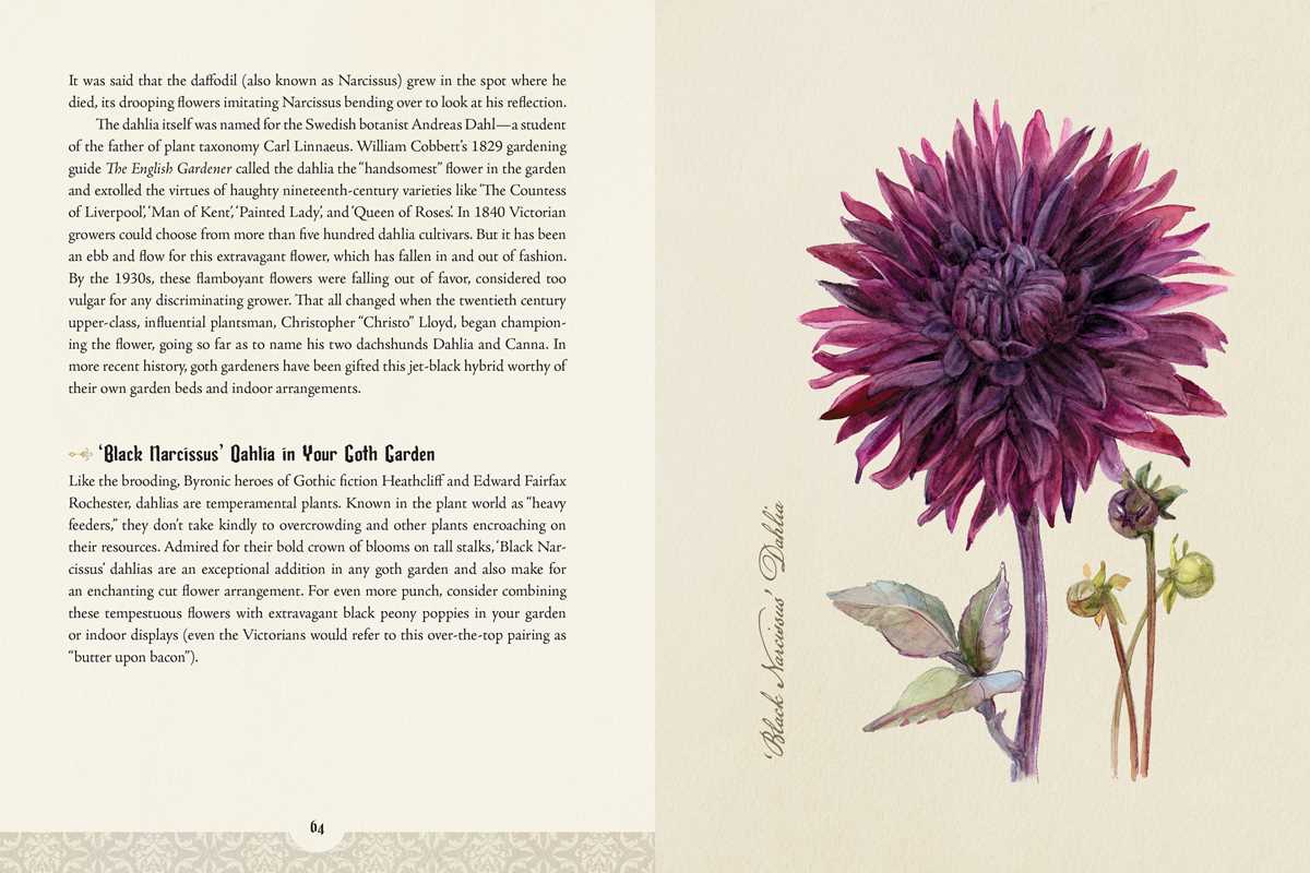 Illustration of a purple flower with text on a beige background